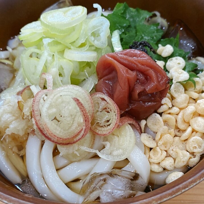 薬味たっぷり！ひんやり梅しそうどん